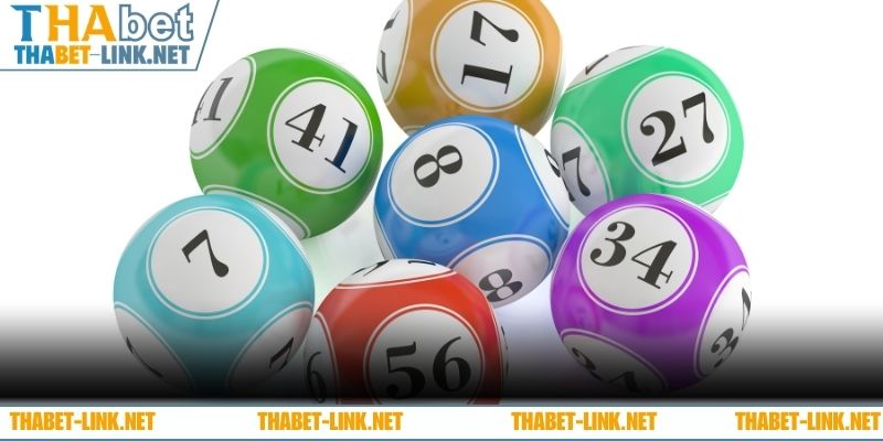 Khái niệm dàn đề số 8 là gì?